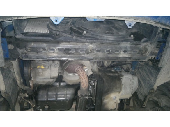 Oceľový kryt motora Peugeot 307 (2001-2008)Peugeot 307