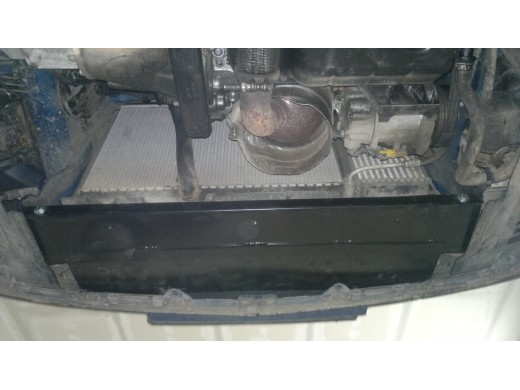 Oceľový kryt motora Peugeot 307 (2001-2008)Peugeot 307