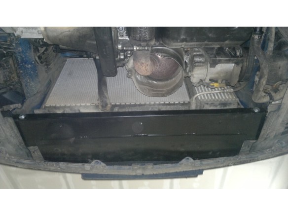 Oceľový kryt motora Peugeot 307 (2001-2008)Peugeot 307